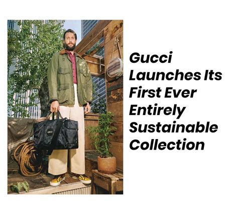 giulia cuffaro gucci|The Impact of Sustainability .